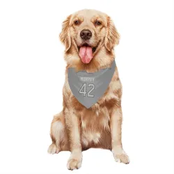 Miami Dolphins Grayson Murphy Charcoal Pet Bandana for Dog & Cat