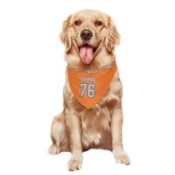 Miami Dolphins Jackson Carman Orange Pet Bandana for Dog & Cat