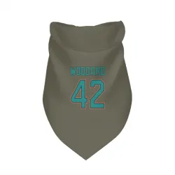 Miami Dolphins Jackson Woodard Olive Pet Bandana for Dog & Cat