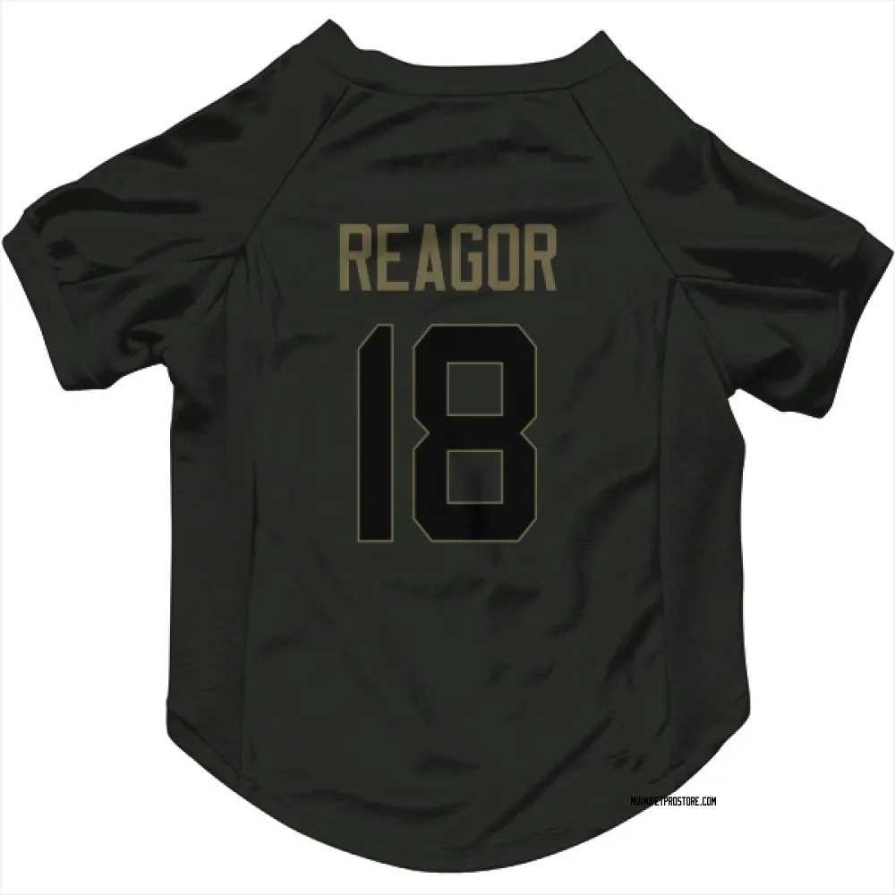 Miami Dolphins Jalen Reagor Black Service Pet Jersey for Dog & Cat