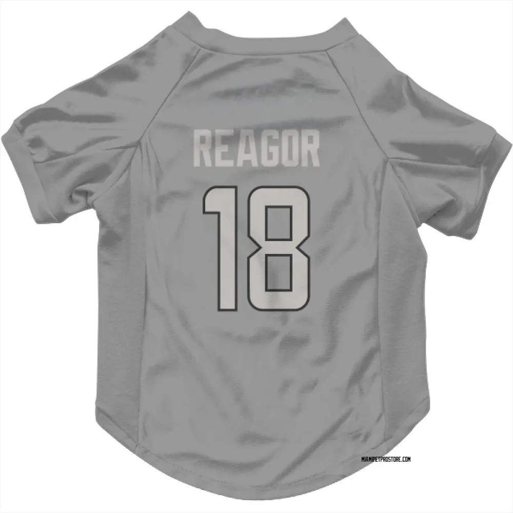 Miami Dolphins Jalen Reagor Charcoal Pet Jersey for Dog & Cat