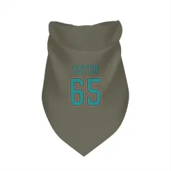 Miami Dolphins James Ester Olive Pet Bandana for Dog & Cat