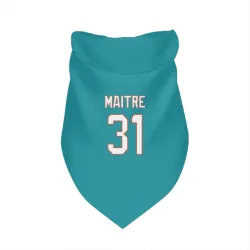 Miami Dolphins Jason Maitre Aqua Pet Bandana for Dog & Cat