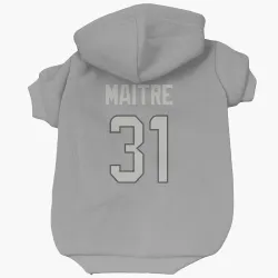 Miami Dolphins Jason Maitre Charcoal Pet Hoodie for Dog & Cat