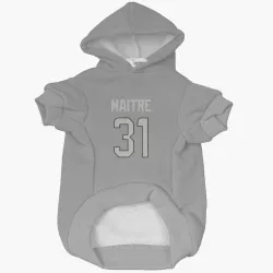Miami Dolphins Jason Maitre Charcoal Pet Hoodie for Dog & Cat