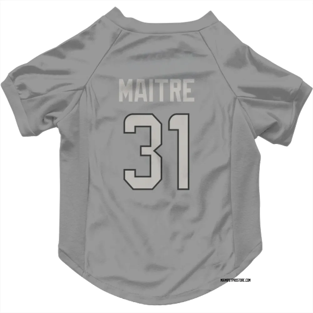 Miami Dolphins Jason Maitre Charcoal Pet Jersey for Dog & Cat