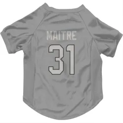 Miami Dolphins Jason Maitre Charcoal Pet Jersey for Dog & Cat