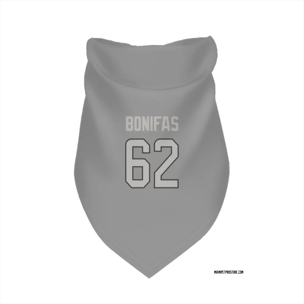 Miami Dolphins Jim Bonifas Charcoal Pet Bandana for Dog & Cat