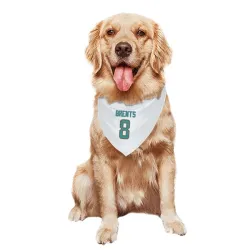 Miami Dolphins JuJu Brents White Pet Bandana for Dog & Cat