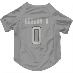 Miami Dolphins Ollie Gordon II Charcoal Pet Jersey for Dog & Cat