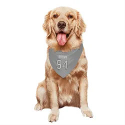 Miami Dolphins Shakel Brown Charcoal Pet Bandana for Dog & Cat