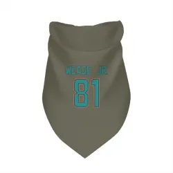 Miami Dolphins Theo Wease Jr. Olive Pet Bandana for Dog & Cat