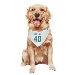 Miami Dolphins Willie Gay Jr. White Pet Bandana for Dog & Cat